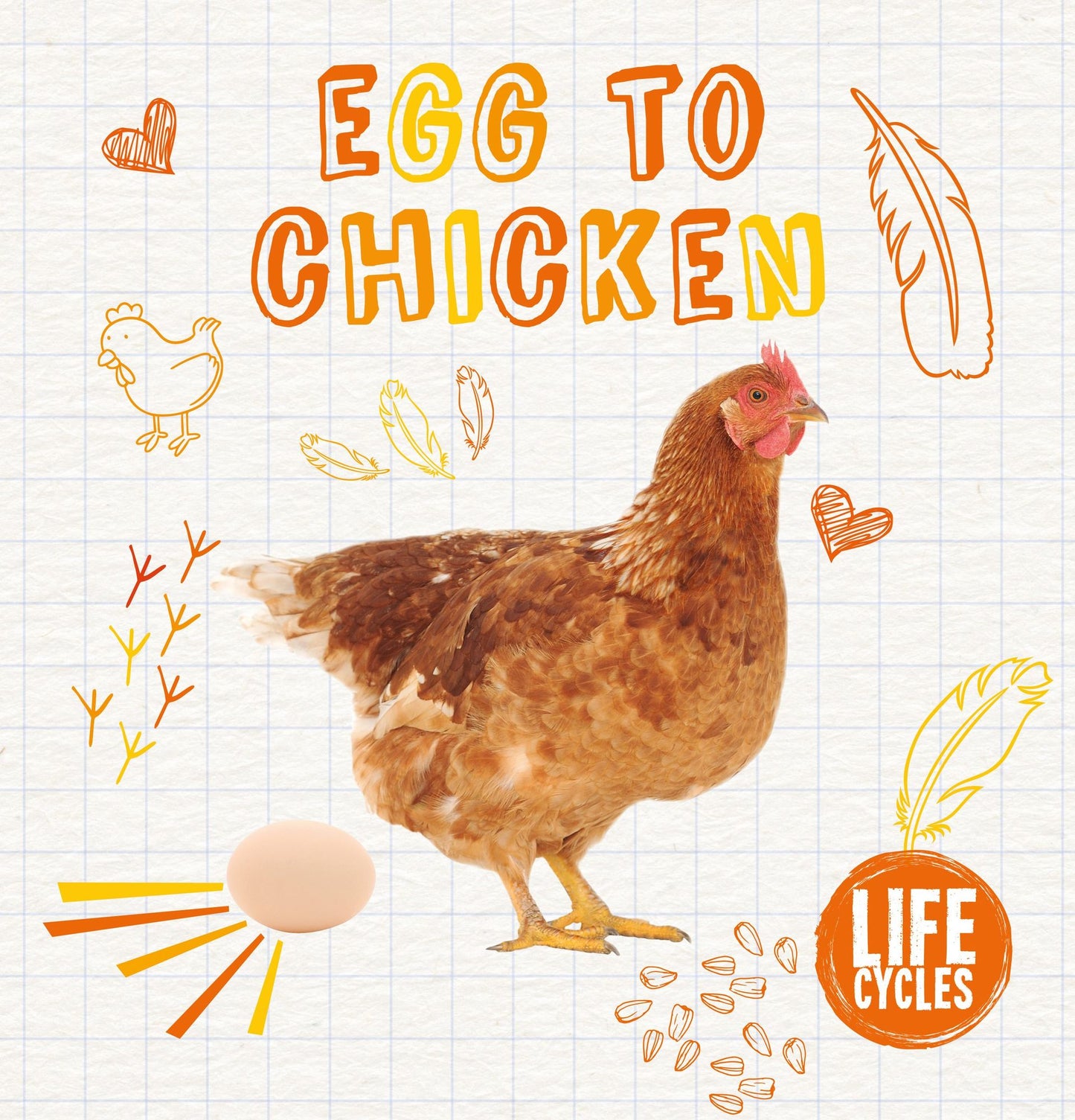 Egg to Chicken