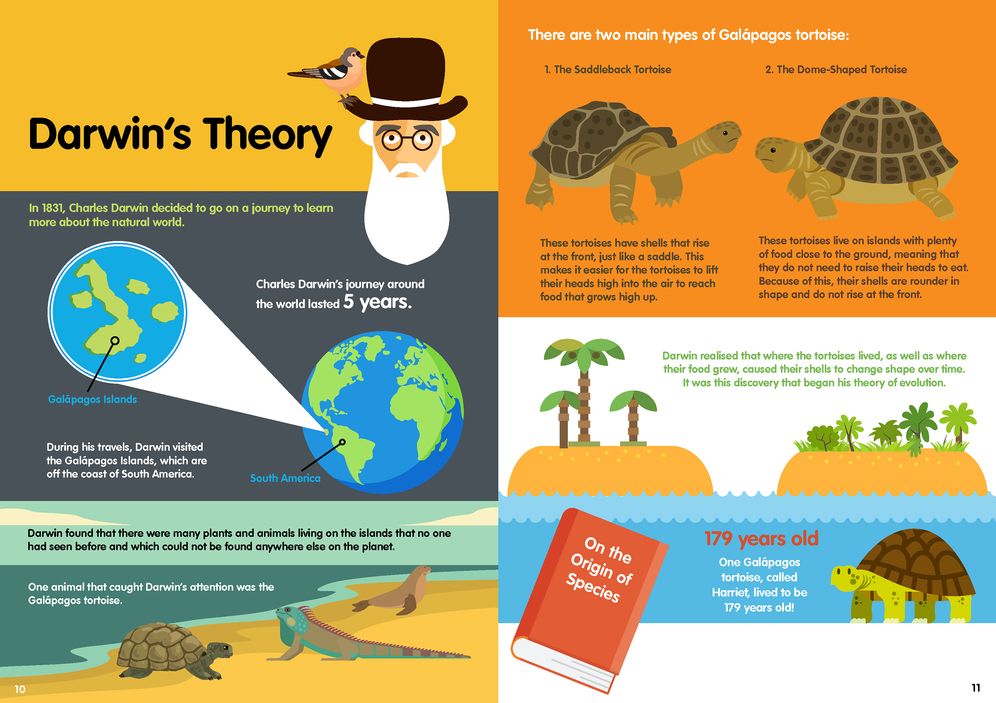 Evolution Infographics