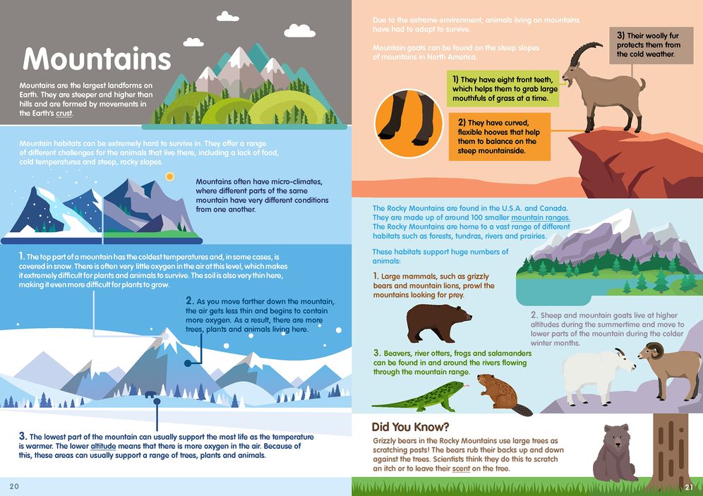 Habitats Infographics