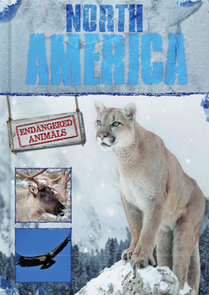 North America