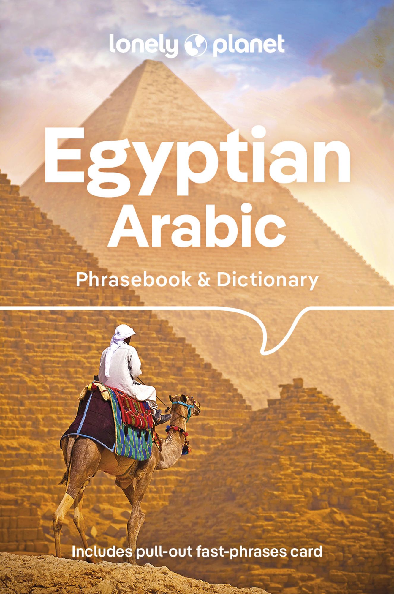 Lonely Planet Egyptian Arabic Phrasebook & Dictionary 5