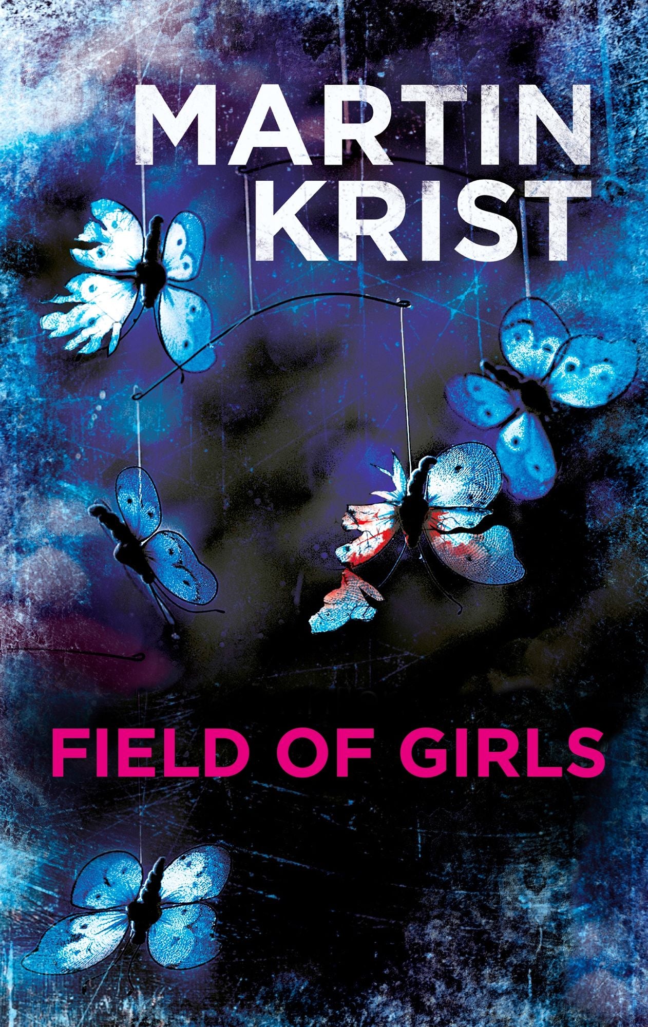 Field of Girls: A gripping thriller for fans of Jo Nesbo and Henning Mankell