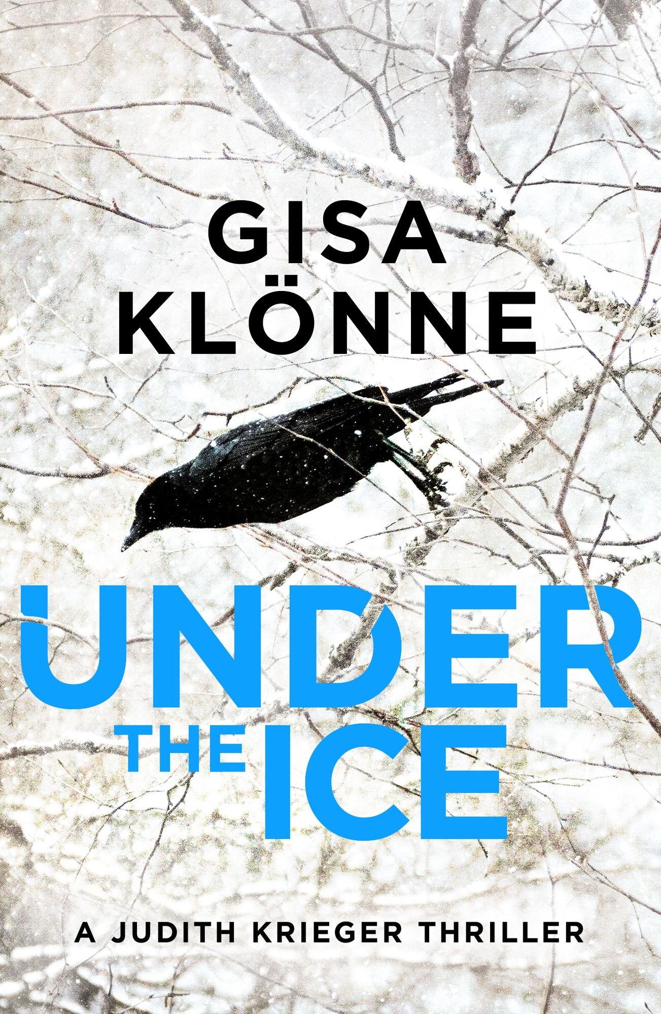 Under the Ice: A Dark and Sinister Thriller