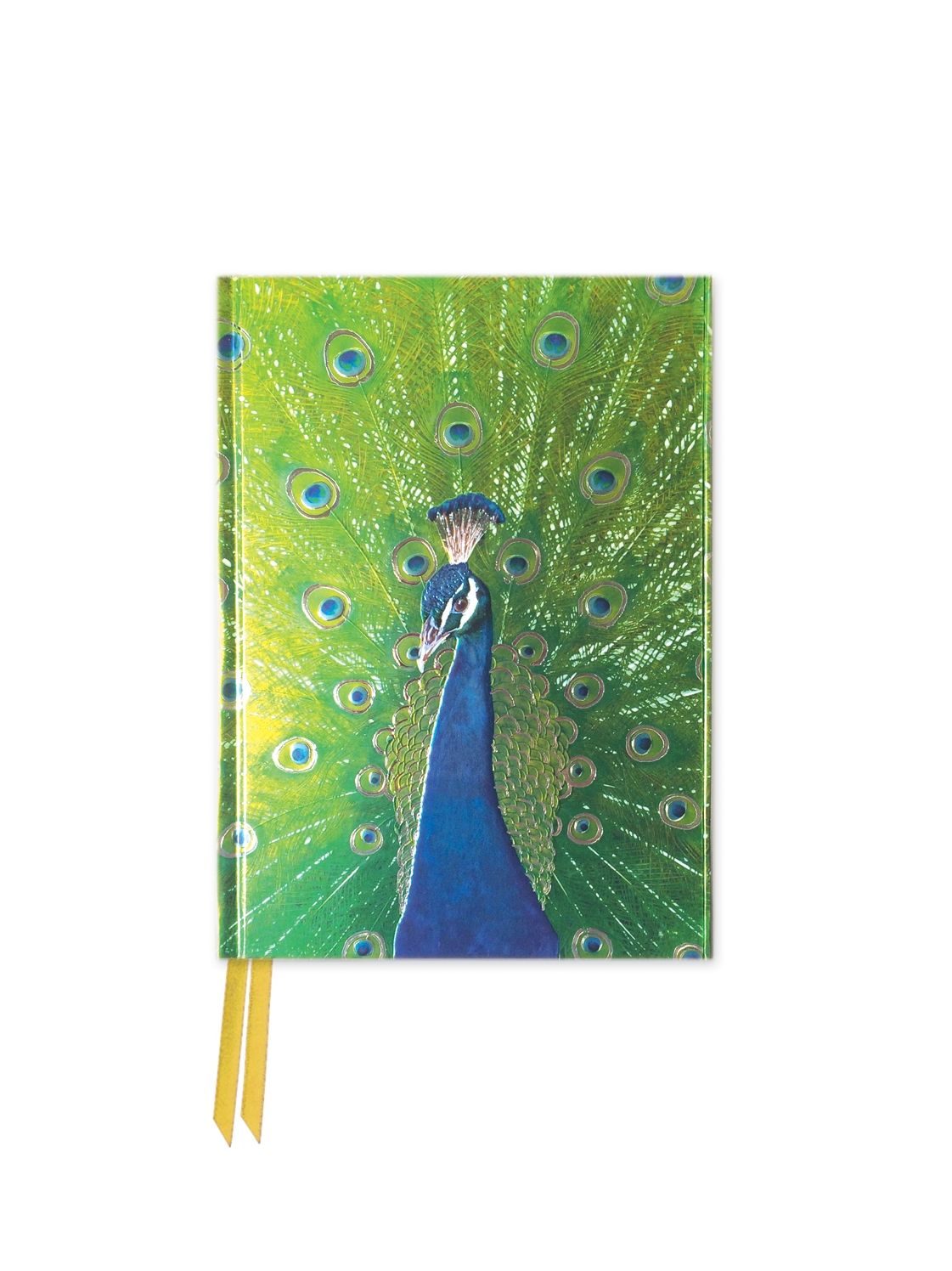 Peacock in Blue and Green Foiled Pocket Notebook