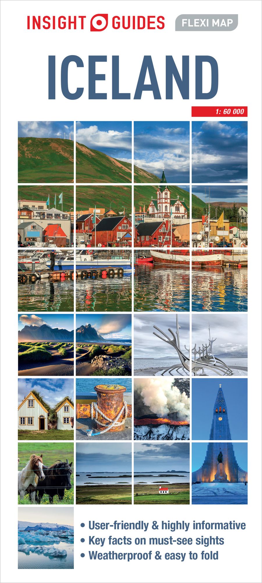 Insight Guides Flexi Map Iceland