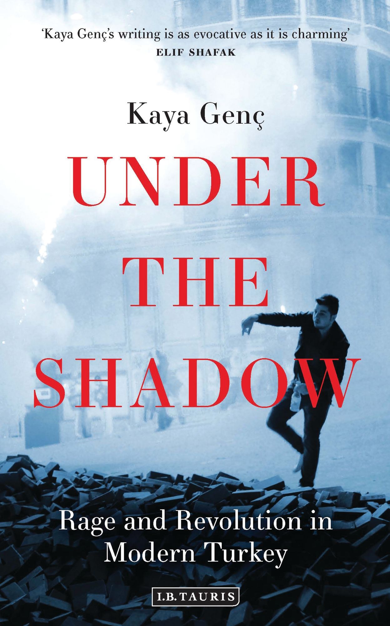 Under the Shadow: Rage and Revolution in Modern Turkey