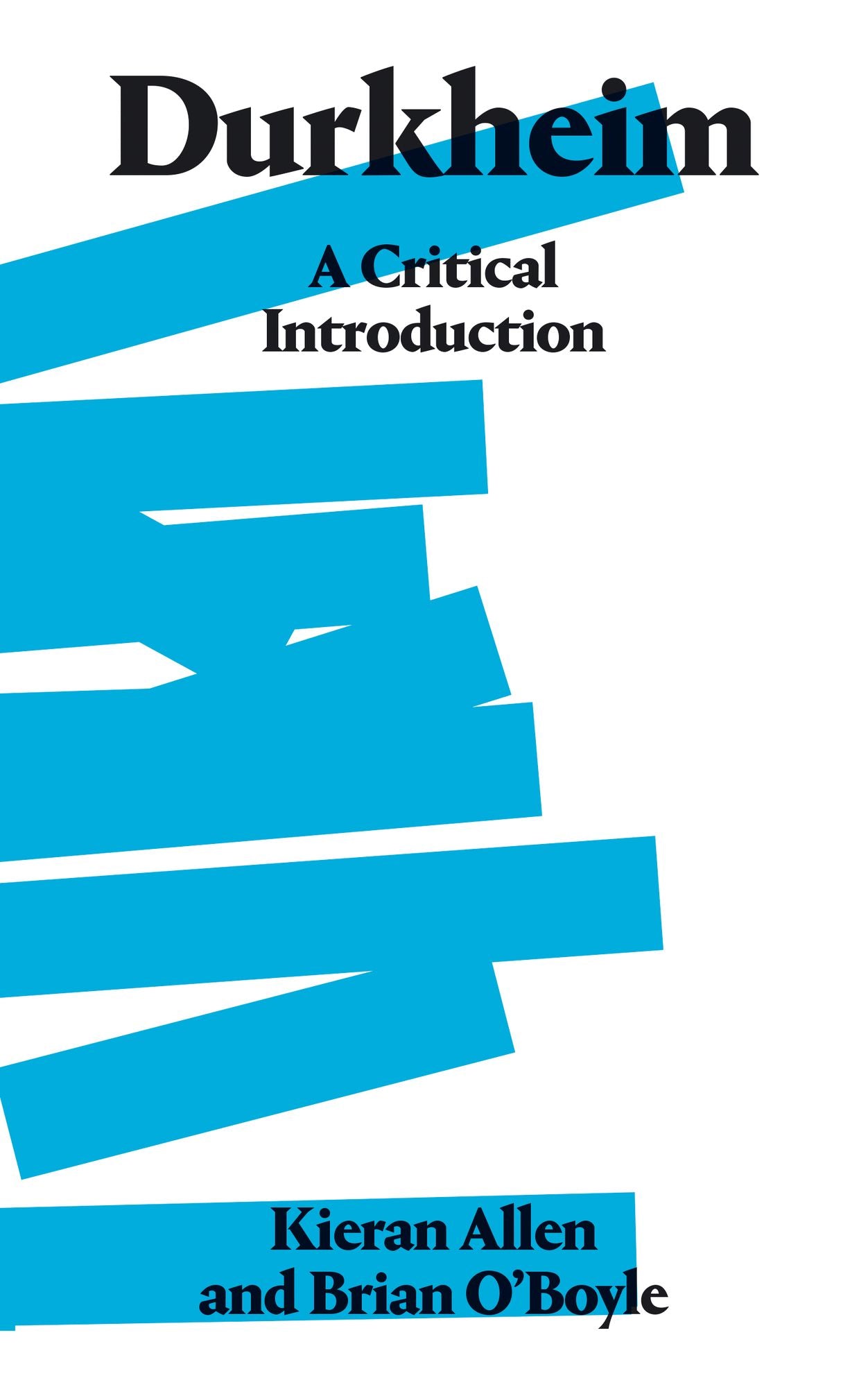 Durkheim: A Critical Introduction