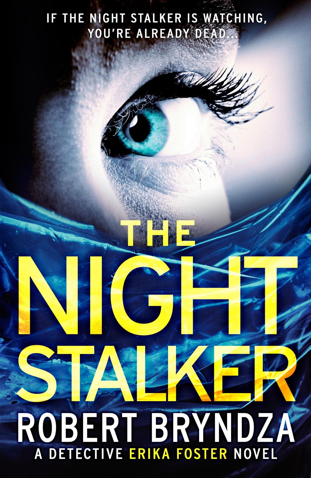 The Night Stalker (Erika Foster Series #2)