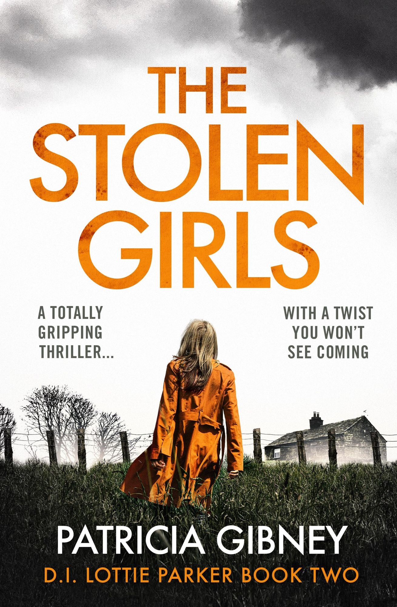 The Stolen Girls: A totally gripping thriller with a twist you won't see coming