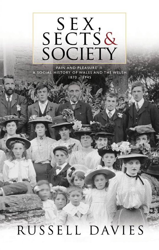 Sex, Sects and Society: 'pain and Pleasure' a Social History of Wales and the Welsh, 1870-1945