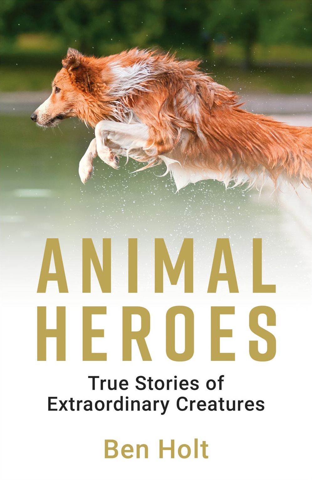Animal Heroes: True Stories of Extraordinary Creatures
