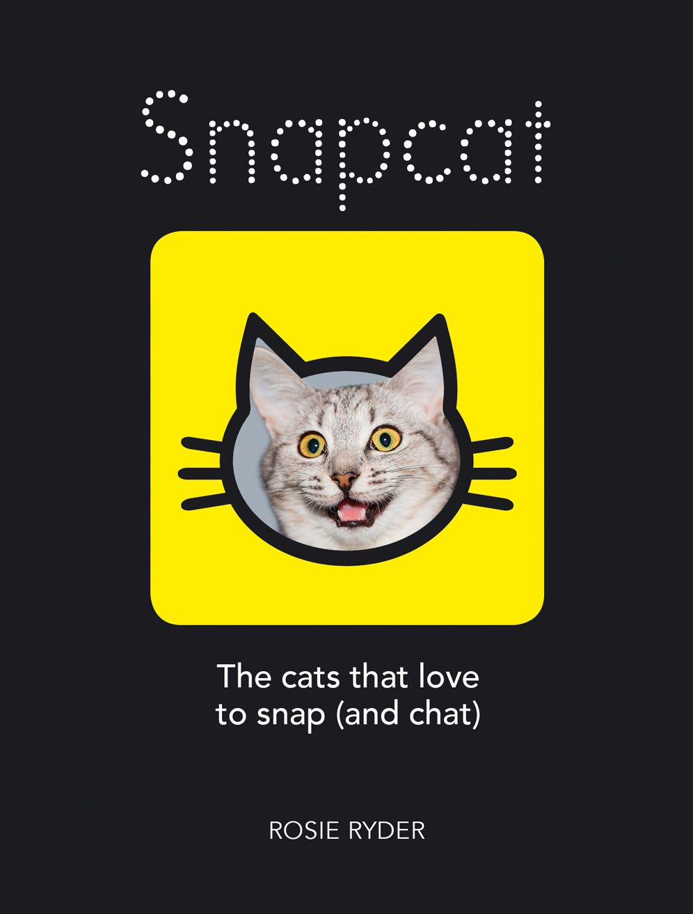 Snapcat: The Cats that Love to Snap (and Chat)