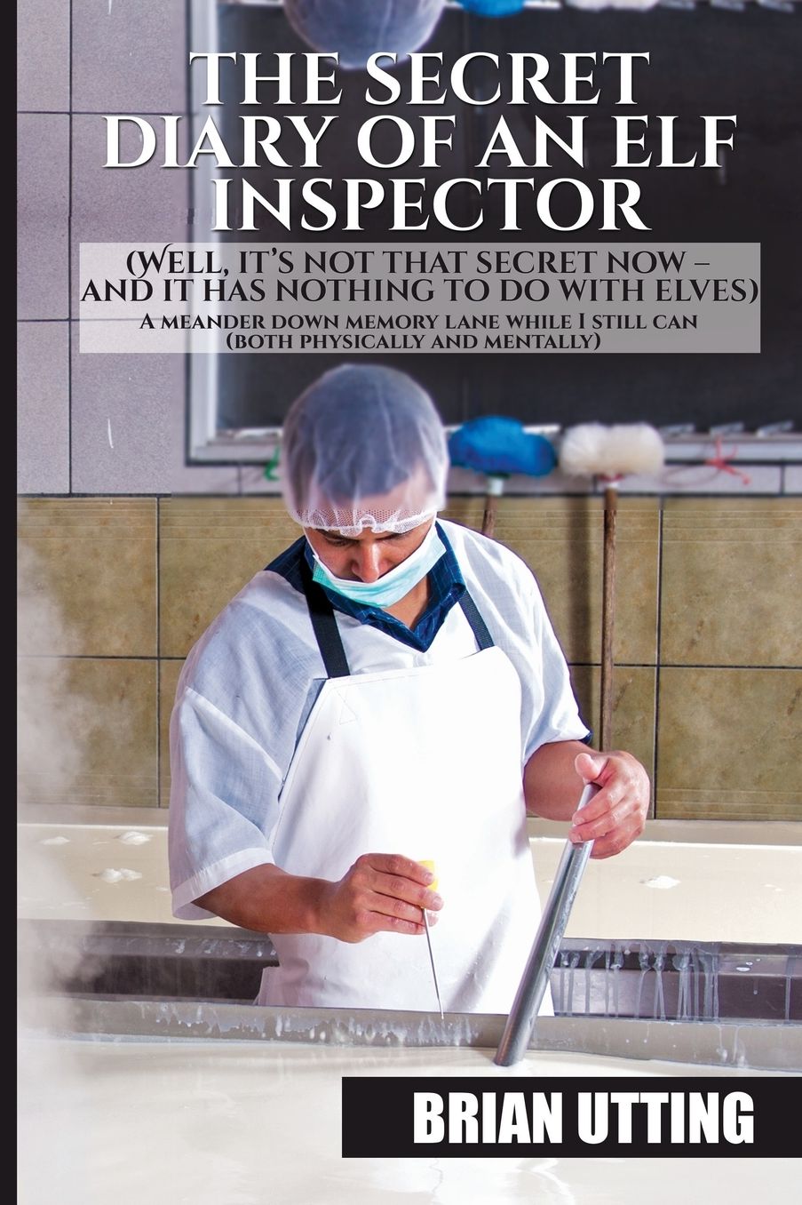 The Secret Diary of An Elf Inspector