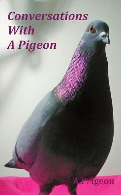 Conversations With A Pigeon