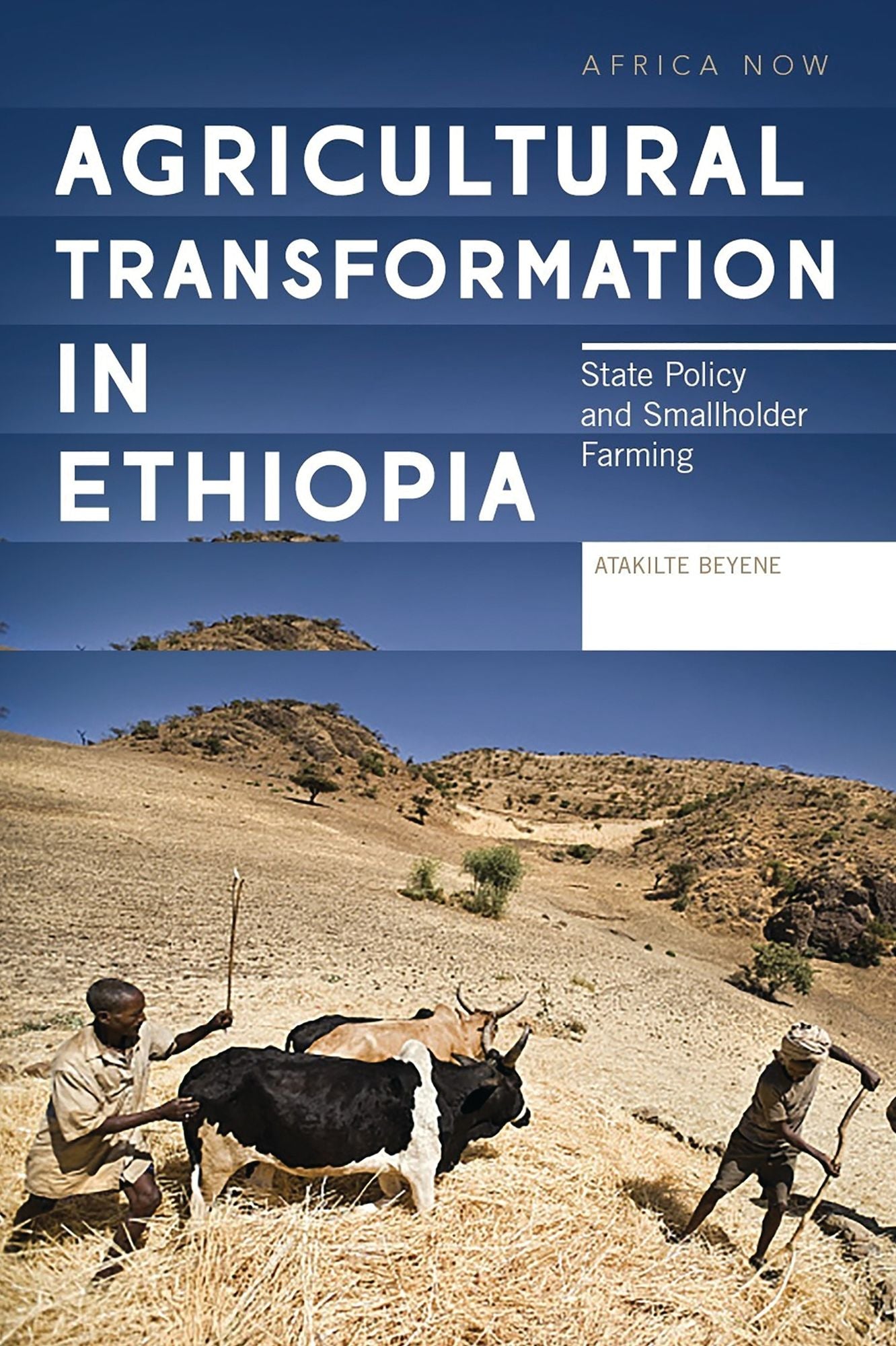 Agricultural Transformation in Ethiopia: State Policy and Smallholder Farming