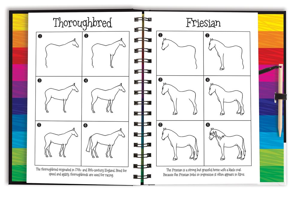 Scratch and Draw Horses and Unicorns