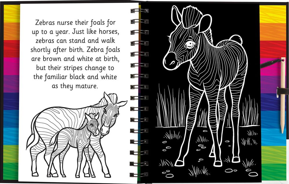 Scratch and Draw Animals