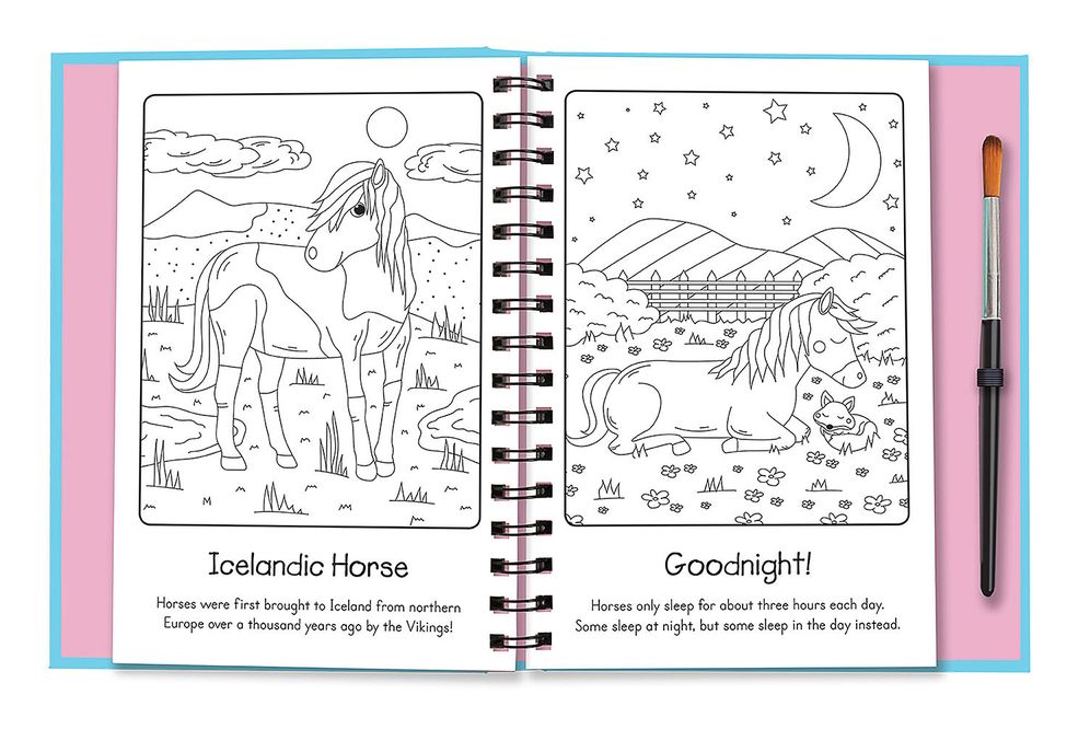 Manes and Tails - Horses and Unicorns