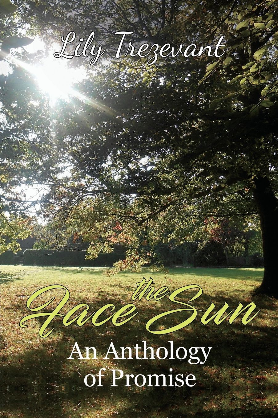 Face the Sun: An Anthology of Promise