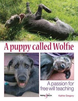 A Puppy Called Wolfie: A Passion for Free-Will Teaching