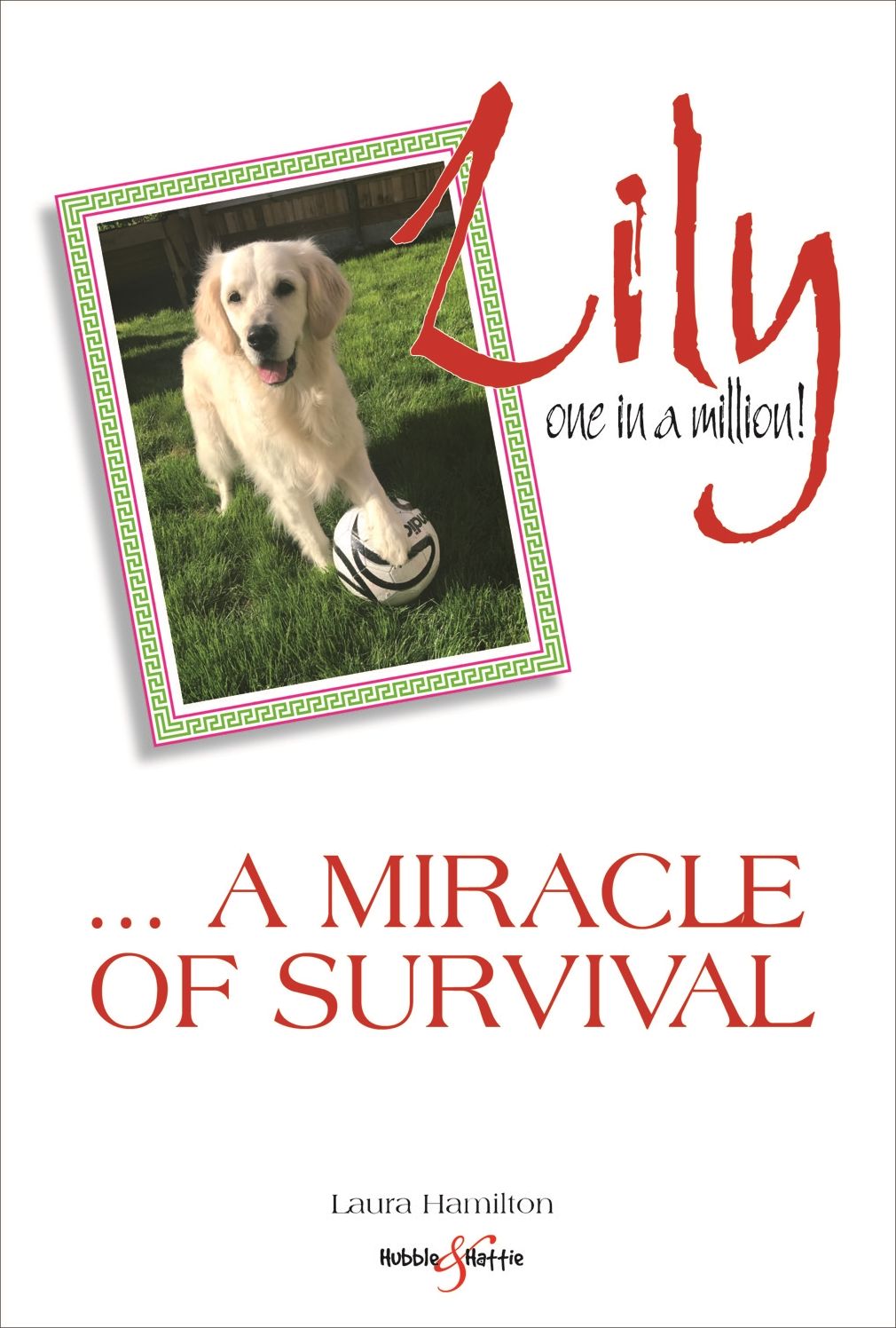 Lily: One in a Million: ... a miracle of survival