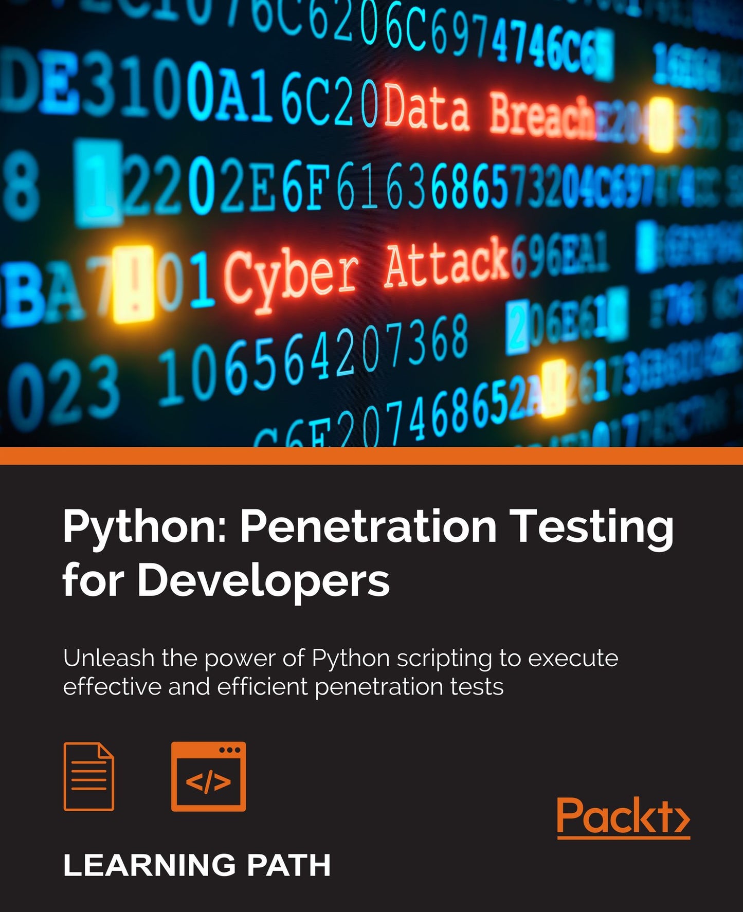 Python: Penetration Testing for Developers