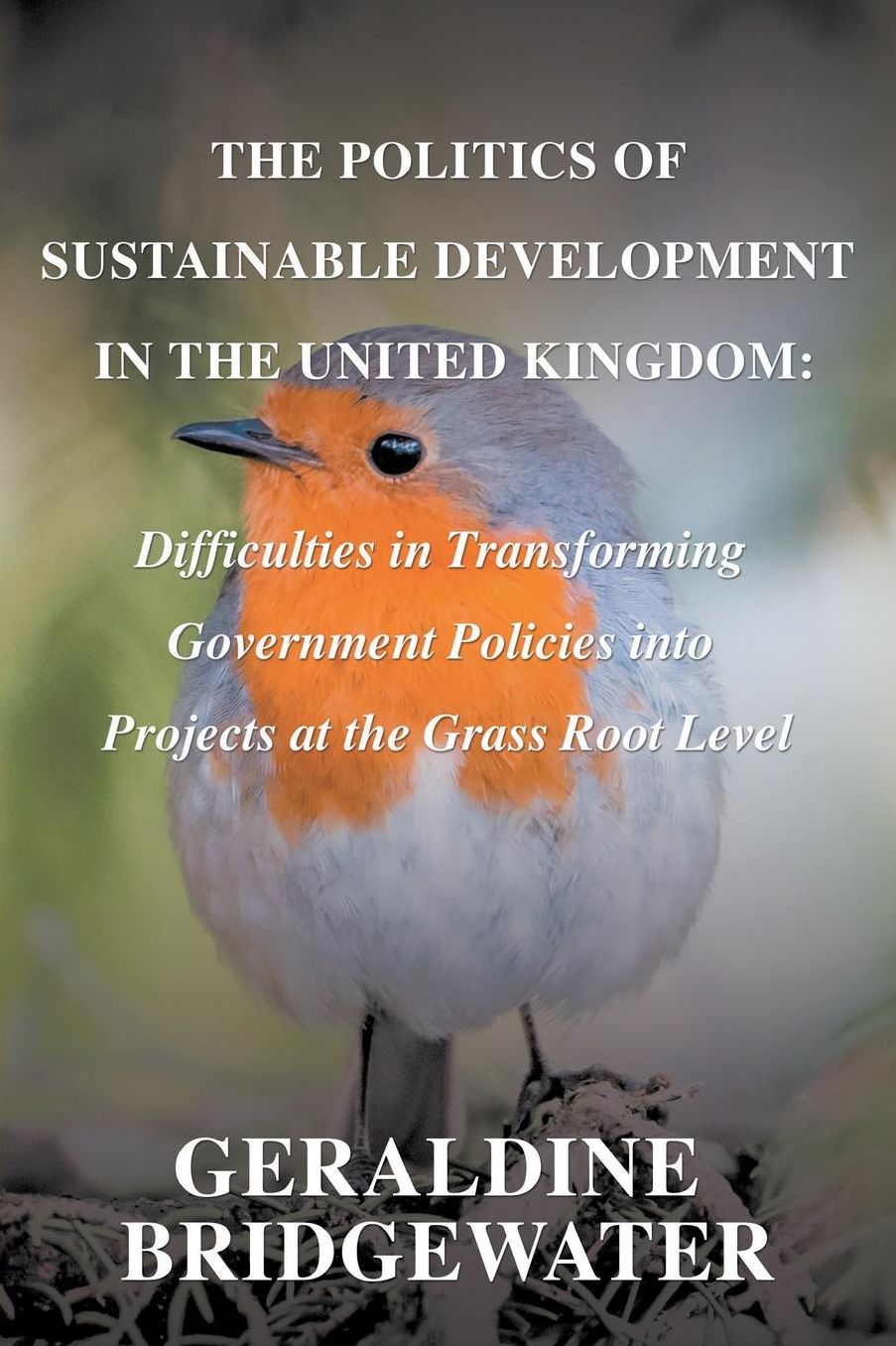 The Politics of Sustainable Development in the United Kingdom: Difficulties in Transforming Government Policies into Projects at the Grass Root Level