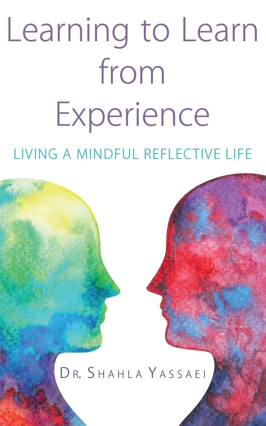 Learning to Learn from Experience: Living a Mindful Reflective Life