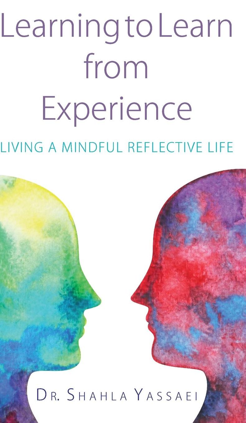 Learning to Learn from Experience: Living a Mindful Reflective Life