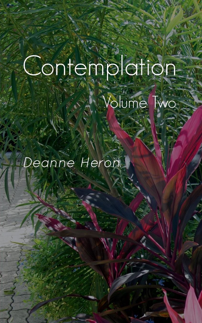 Contemplation: Volume Two