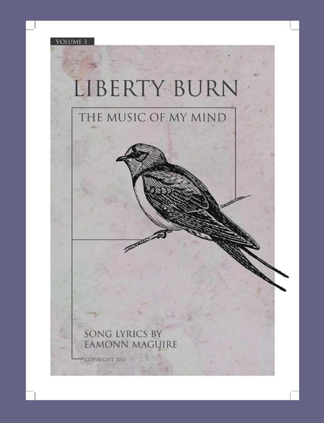 Liberty Burn