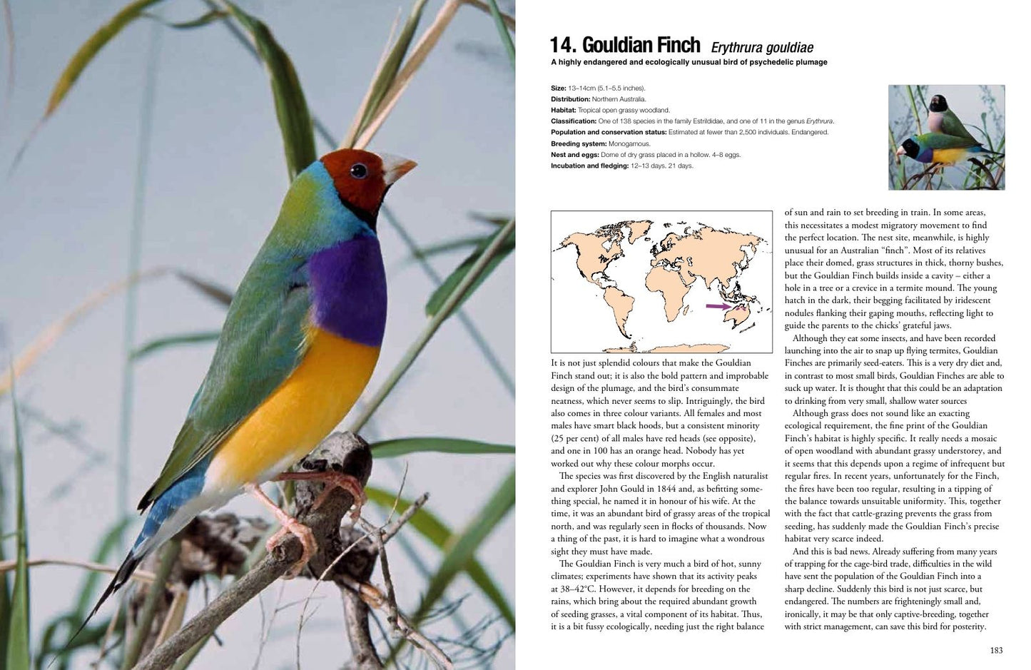 100 Birds to See in Your Lifetime: The Ultimate Wish-List for Birders Everywhere