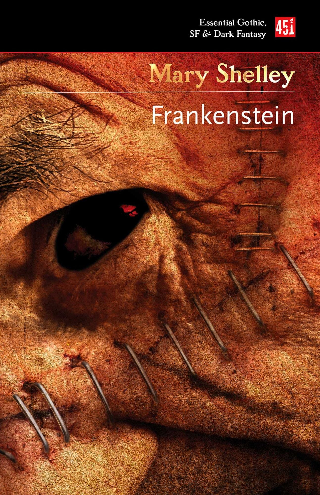 Frankenstein: Or, the Modern Prometheus