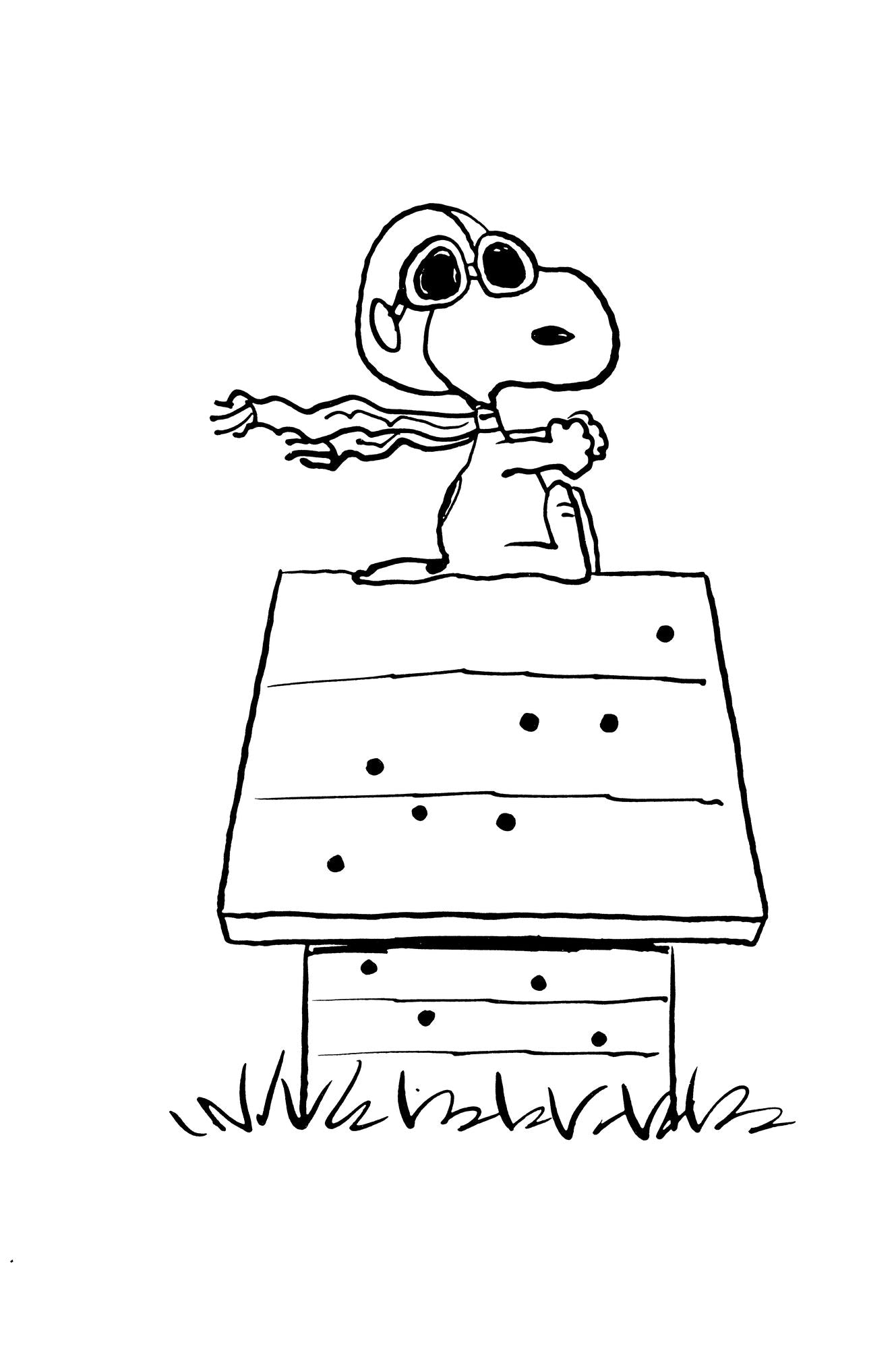 Peanuts: Snoopy and the Red Baron