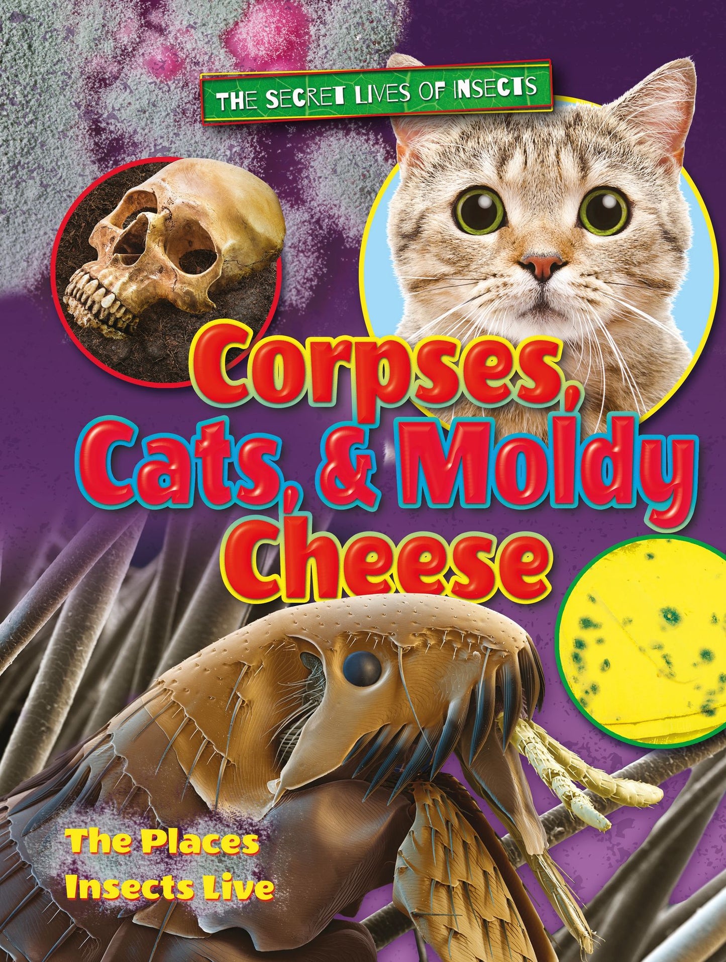Corpses, Cats, and Moldy Cheese : The Places Insects Live
