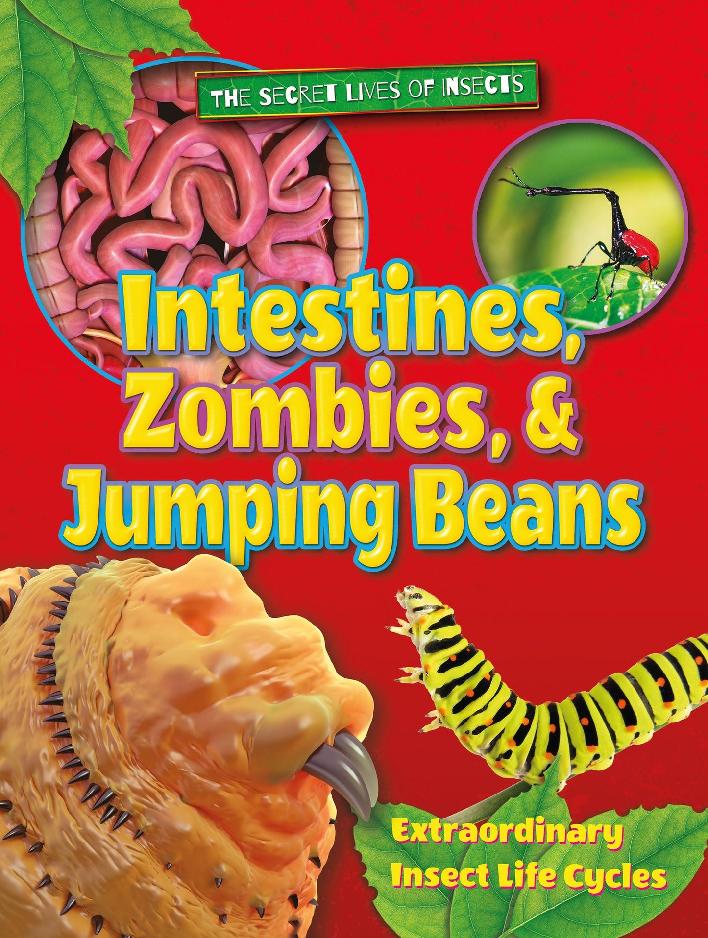 Intestines, Zombies, and Jumping Beans : Extraordinary Insect Life Cycles