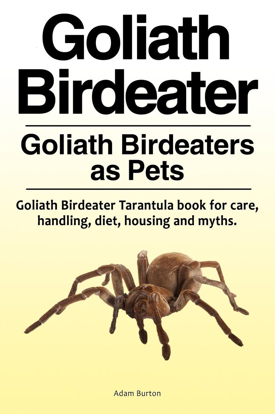 Goliath Birdeater . Goliath Birdeaters as Pets. Goliath Birdeater Tarantula book for care, handling, diet, housing and myths.