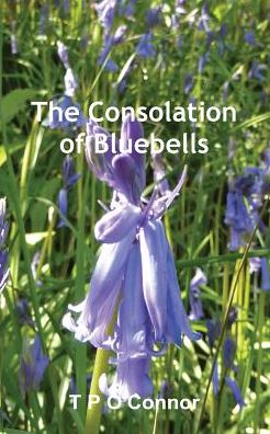 The Consolation of Bluebells