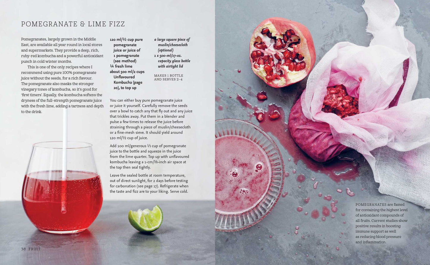 Kombucha: Healthy Recipes for Naturally Fermented Tea Drinks