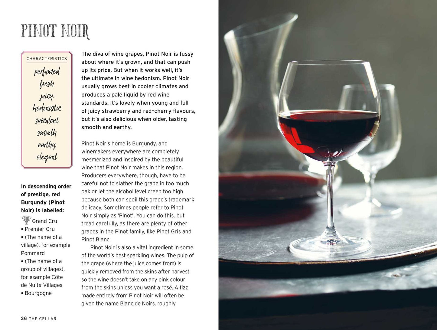 Wine: Everything You Ever Wanted to Know about Red, White, Rosï¿½ & Fizz