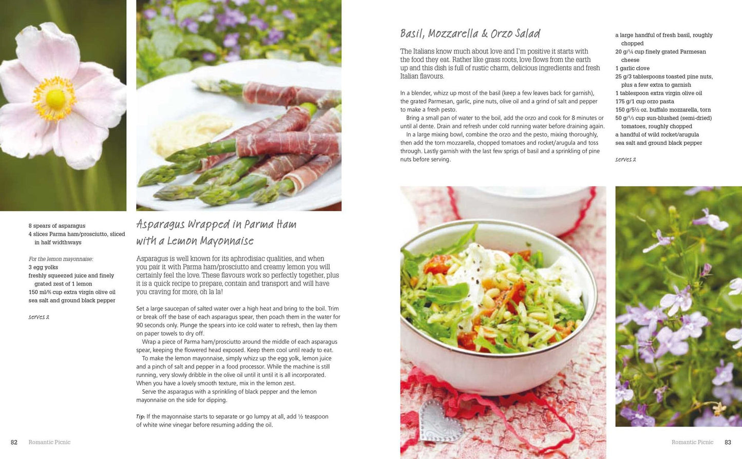 A Perfect Day for a Picnic: Over 80 Recipes for Outdoor Feasts to Share with Family and Friends
