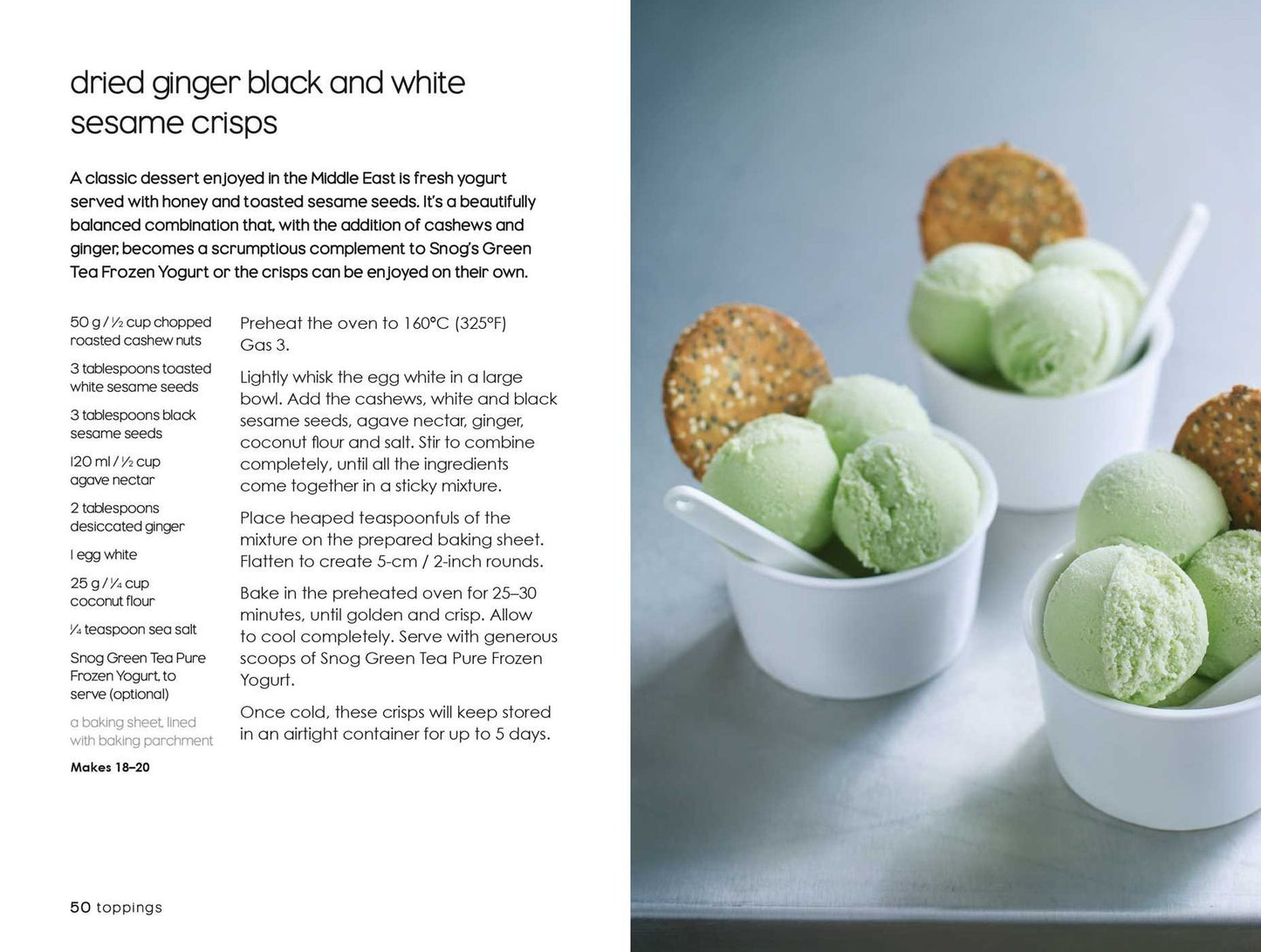 Frozen Yogurt