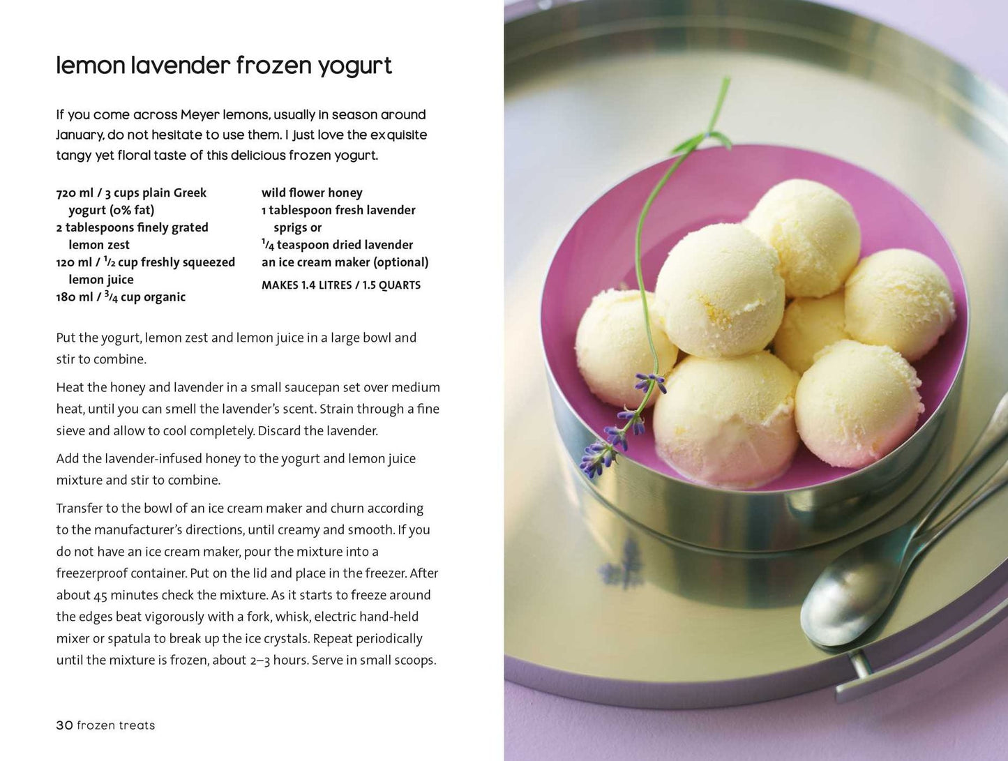 Frozen Yogurt