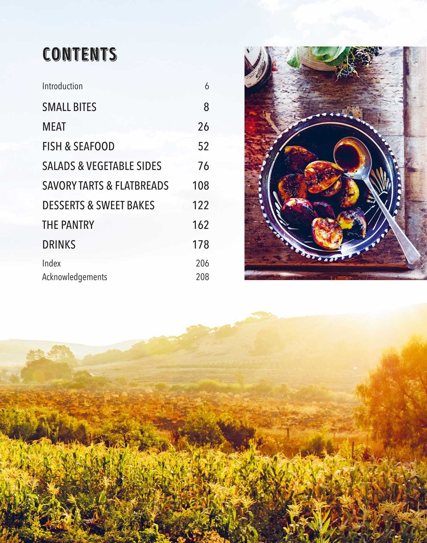 Summer Feasting from the Fire: Relaxed recipes for the BBQ, plus salads, sides, drinks & more