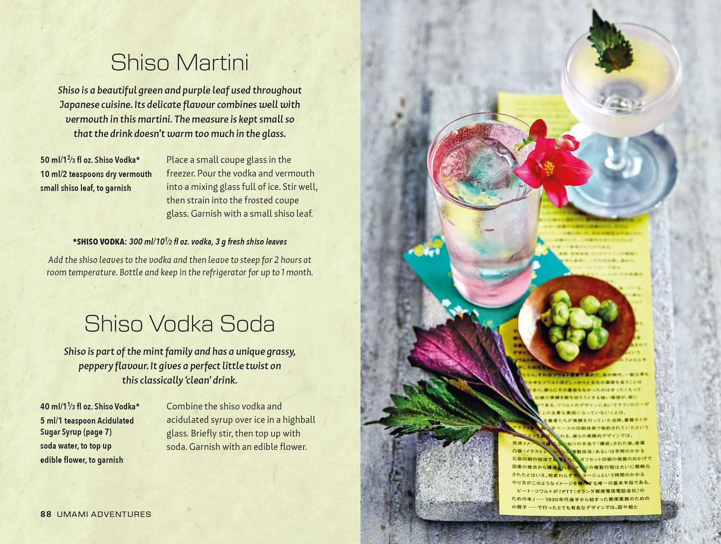 Tokyo Bar: 65 recipes for Japanese-style cocktails and izakaya snacks