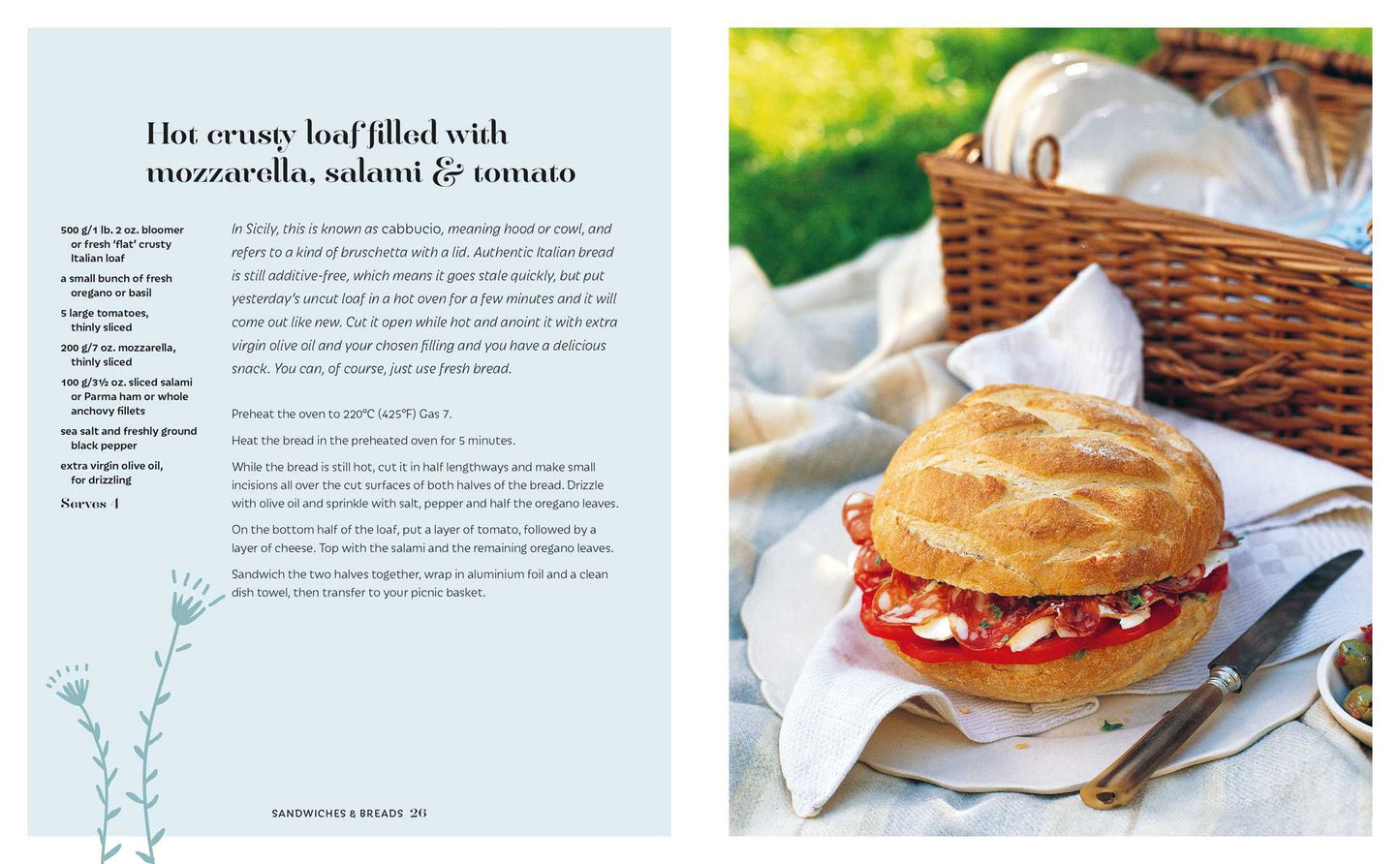 Picnic: Tempting & transportable recipes for outdoor eating