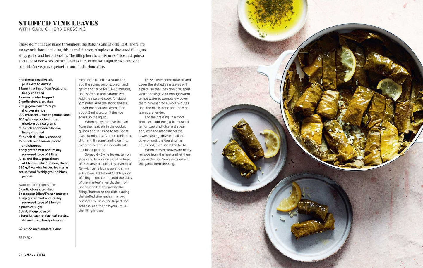 Zest: Fresh & vibrant recipes for citrus fruit