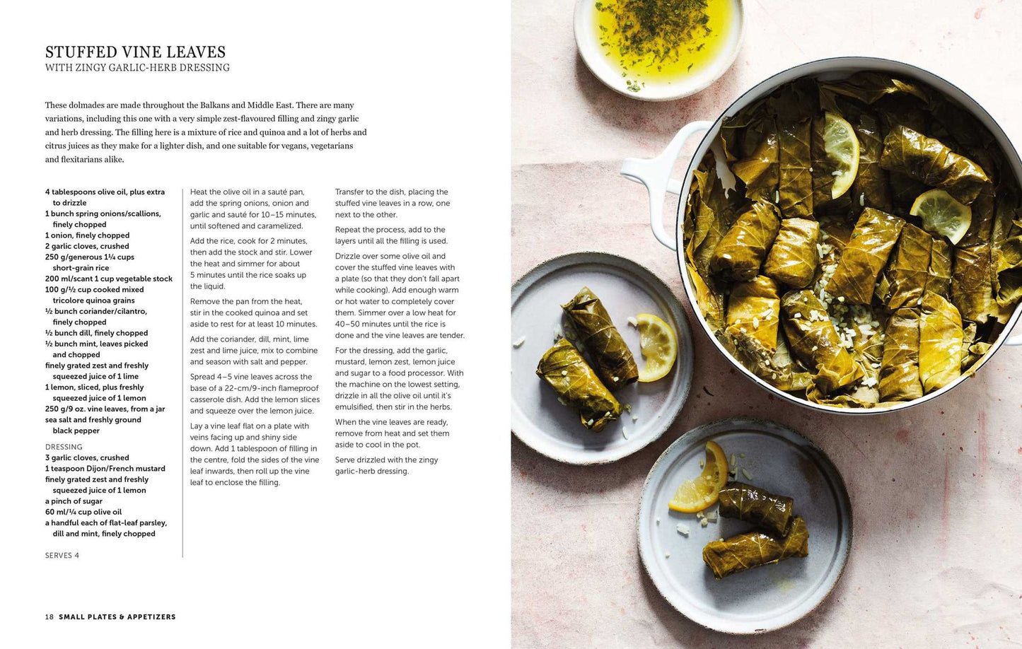 Zest: Fresh & vibrant recipes for citrus fruit