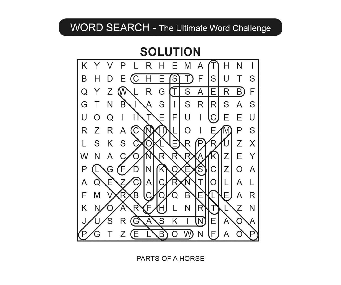 Word Search: The Ultimate Word Challenge: Puzzle Pad with Tear-Off Pages