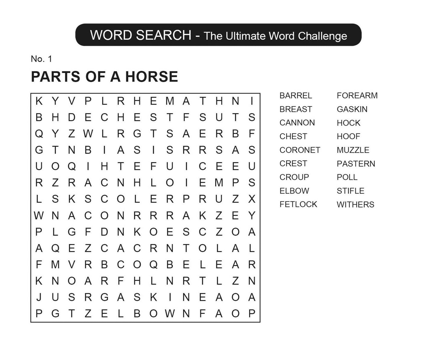 Word Search: The Ultimate Word Challenge: Puzzle Pad with Tear-Off Pages